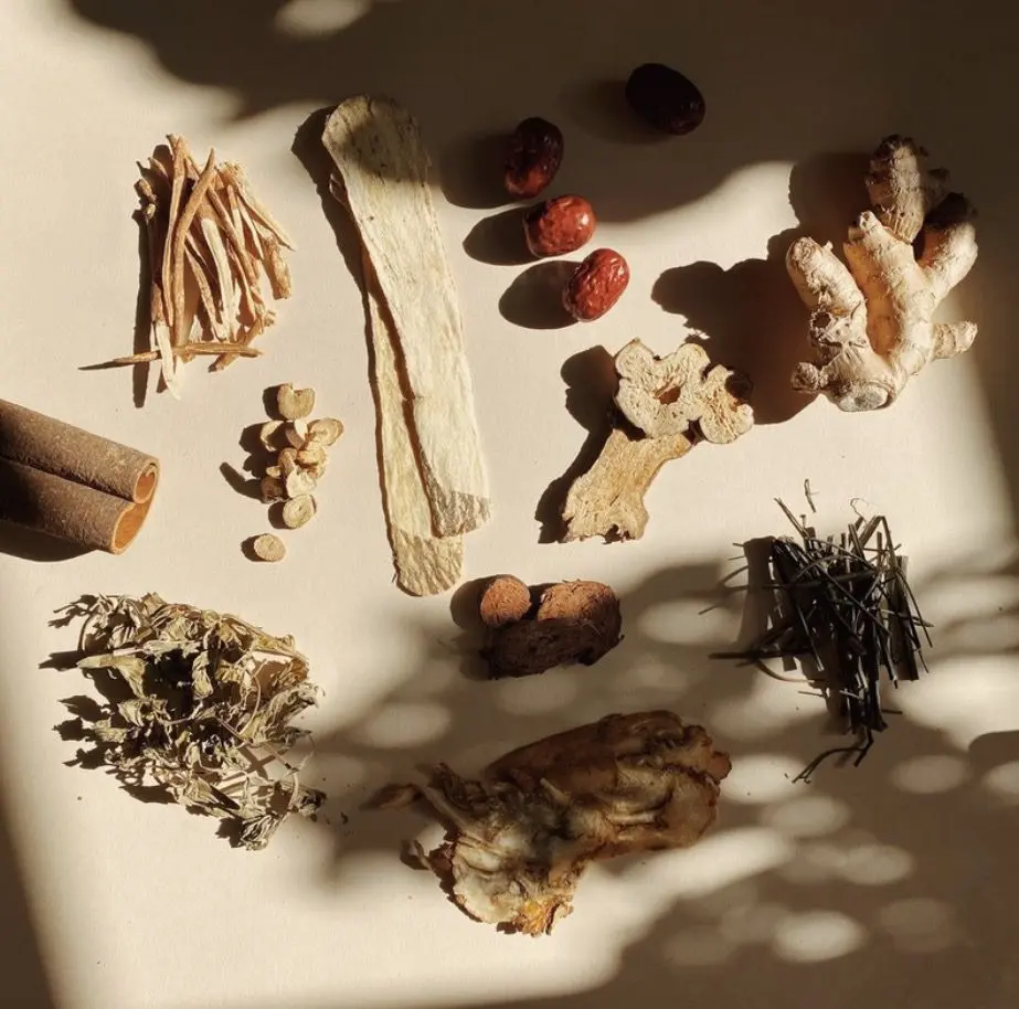 Traditional Chinese herbs arranged for herbal medicine care